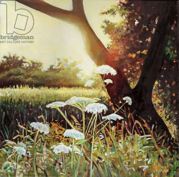 White, Hele: Golden hedgerow I