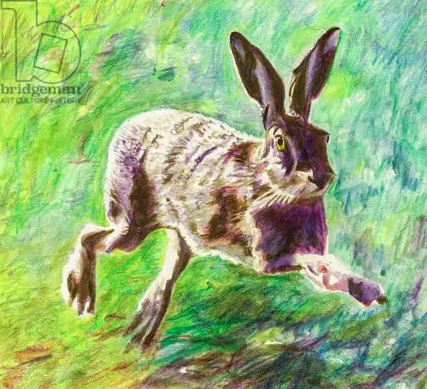 White, Hele: Joyful hare