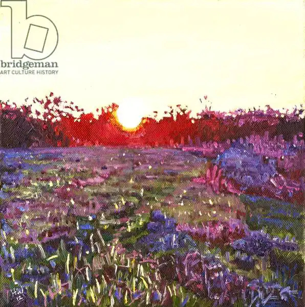 White, Hele: Farley sunset