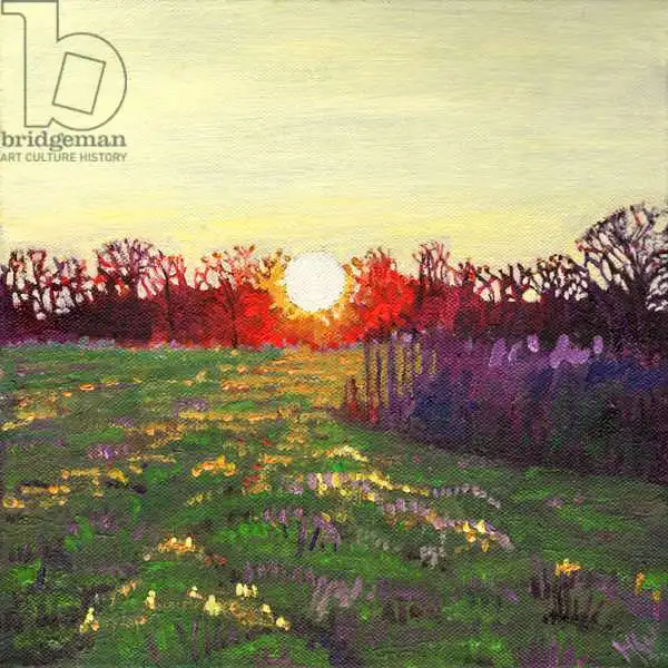 White, Hele: Path of light