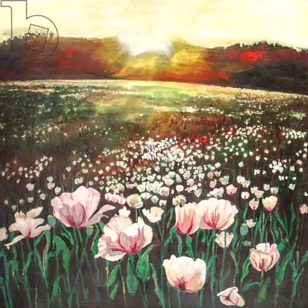 White, Hele: Love swept lands