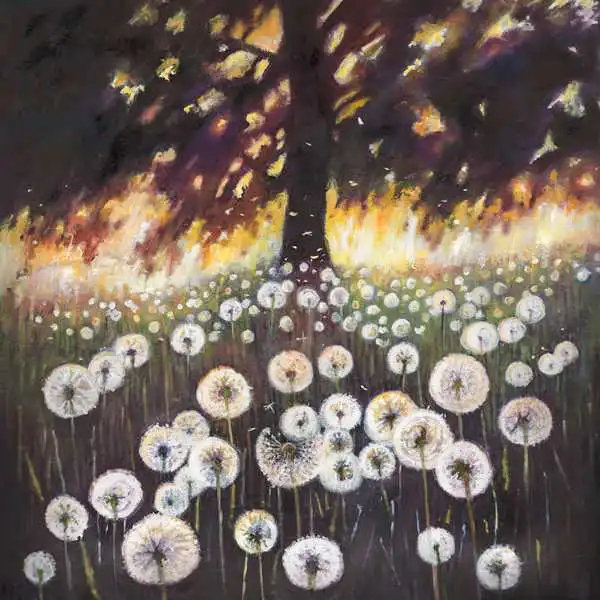 White, Hele: Field of Dreams