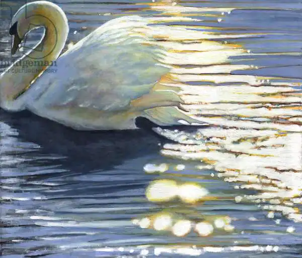 White, Hele: Where Grace Has Been