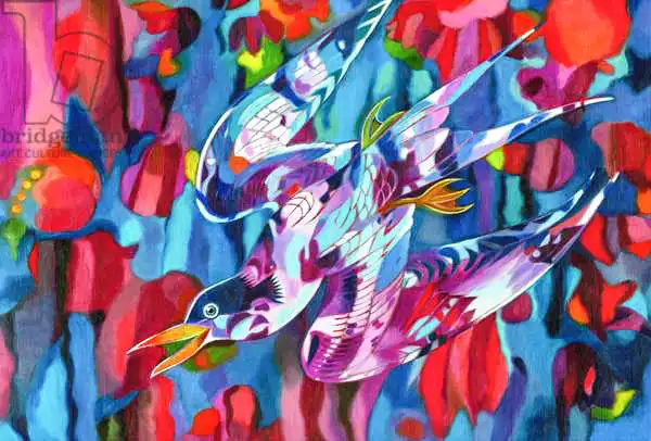 Tattersfield, Jan: Diving bird