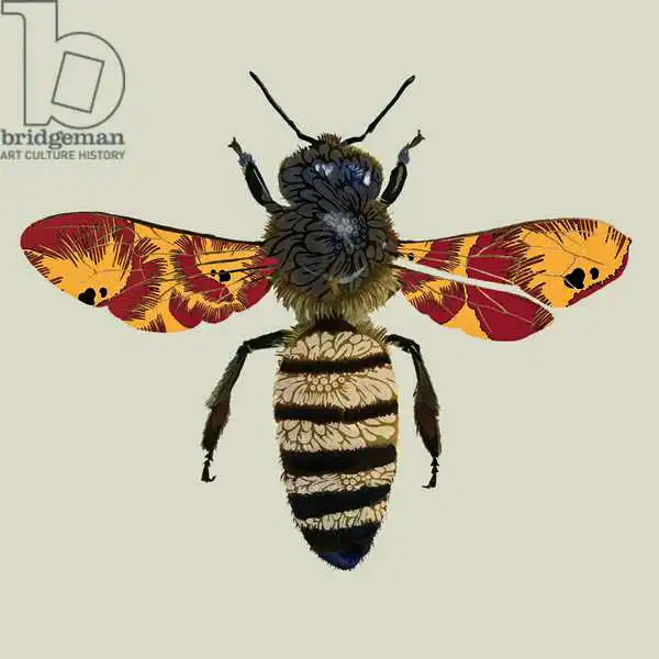 Hough, Sara: Honey Bee