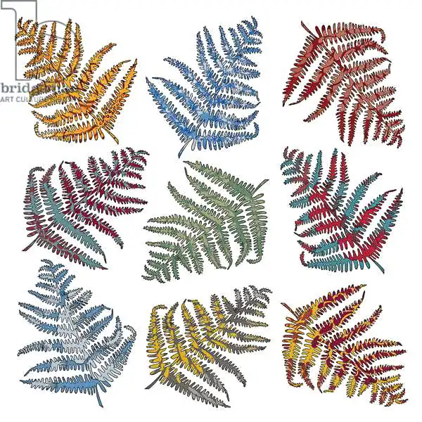 Hough, Sara: Ferns