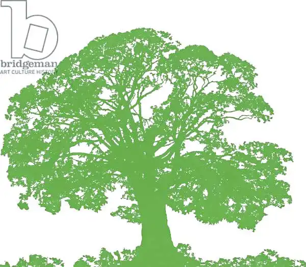 Hough, Sara: Climbing Tree