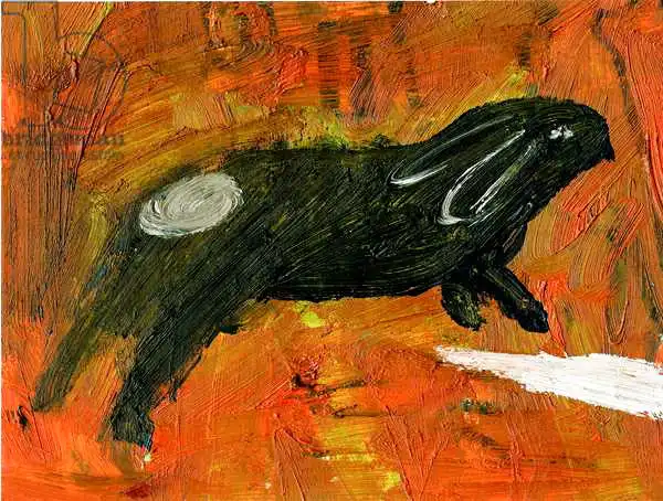 Sudbury, Gig: Rabbit