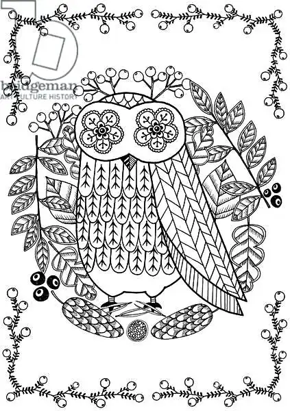 Vasko, Ann: Owl