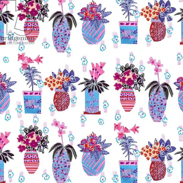 Chambers, Jo: House Plants
