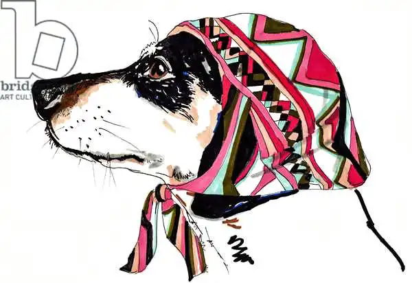 Chambers, Jo: Pooch In Pucci
