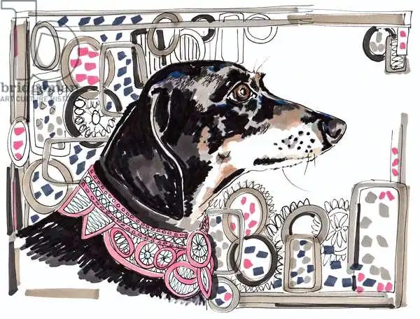 Chambers, Jo: Lacey The Dachshund