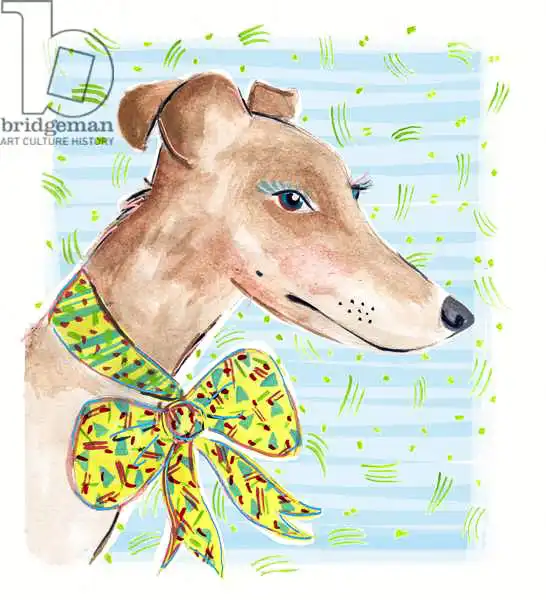 Chambers, Jo: Greyhound
