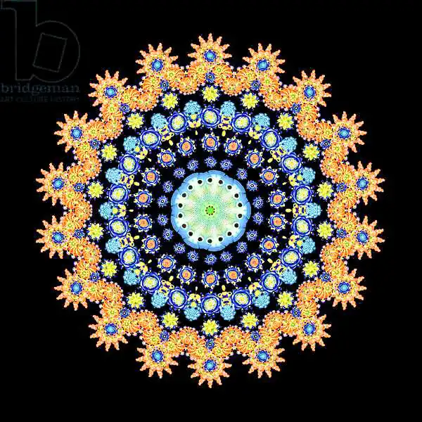 Parker, Roby: Roue de poisson tropical 2