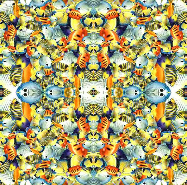 Parker, Roby: Carreau de poisson kaléidoscope