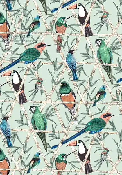 Colley, Jacquelin: Menagerie
