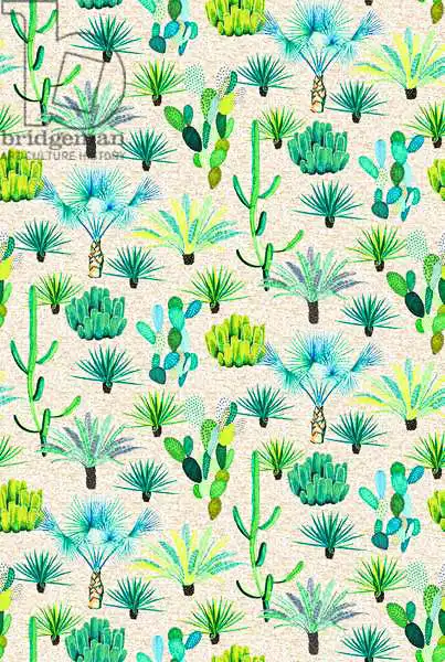 Colley, Jacquelin: Jardines Majorelle - Cactus