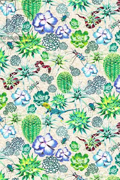 Colley, Jacquelin: Les Jardins Majorelle - Suculentas