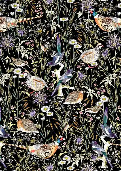 Colley, Jacquelin: Aves del borde del bosque