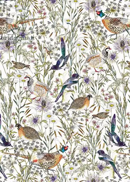 Colley, Jacquelin: Aves del borde del bosque