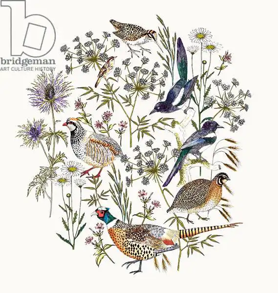 Colley, Jacquelin: Colocación de aves en el borde del bosque