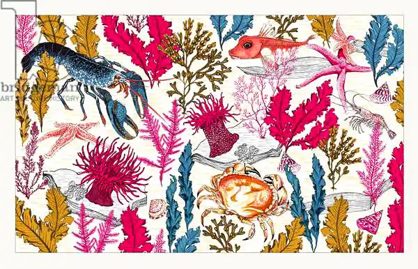 Colley, Jacquelin: Lecho marino