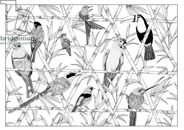 Colley, Jacquelin: Menagerie en blanco y negro