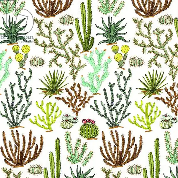 Colley, Jacquelin: Patrón de cactus