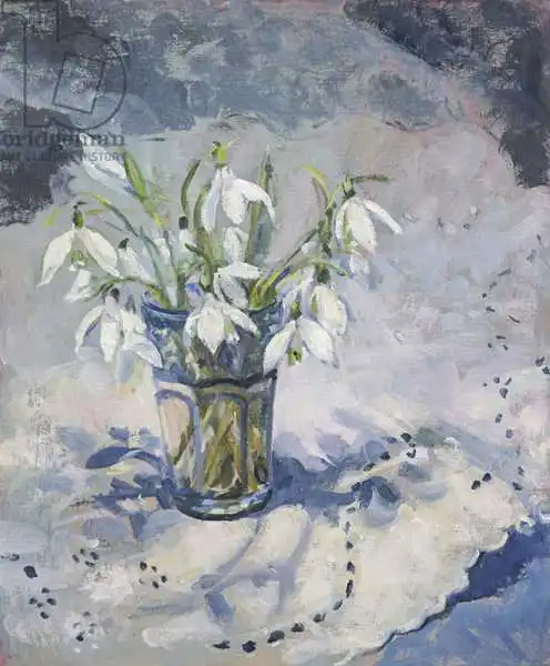 Wales, Su: Snowdrops