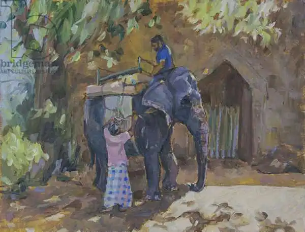 Wales, Su: Elephant,Sri Lanka