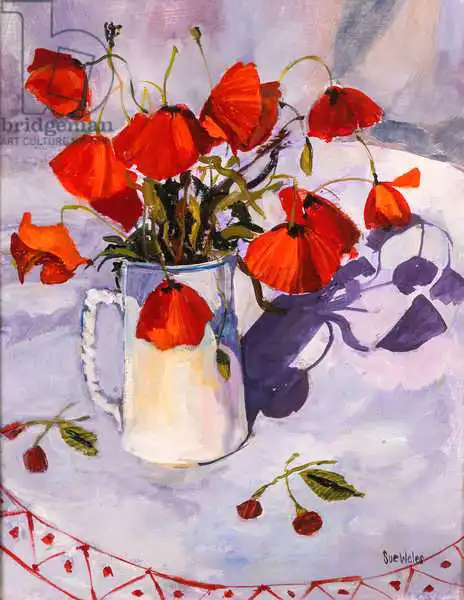 Wales, Su: Sun lit poppies