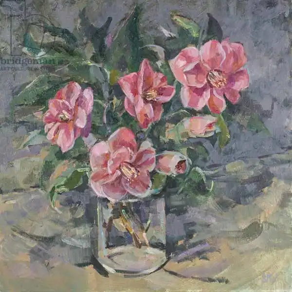 Wales, Su: Camelias