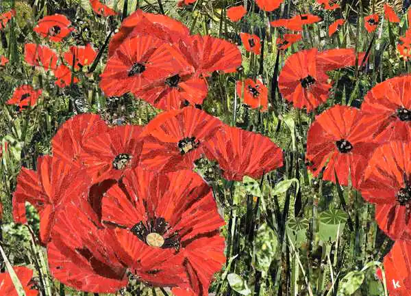 Adamson, Kirsti: Poppy Field