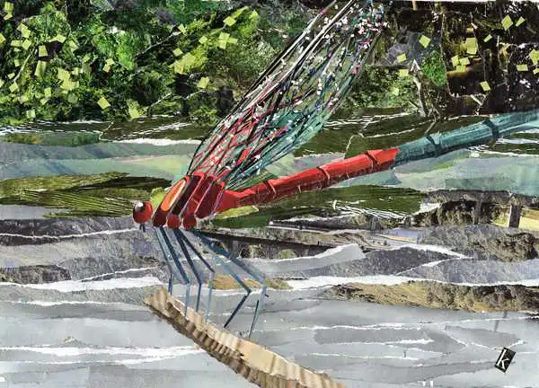 Adamson, Kirsti: Red Dragonfly