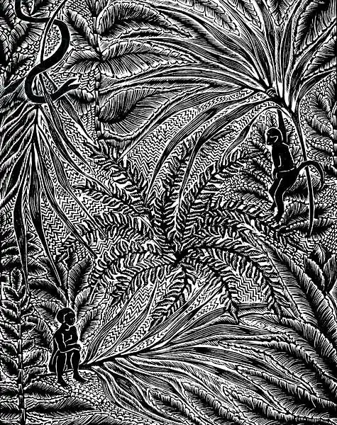 Kuper, Mar: Jungle