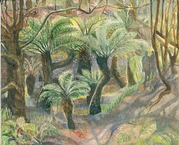 Kuper, Mar: Tree ferns, Trewidden