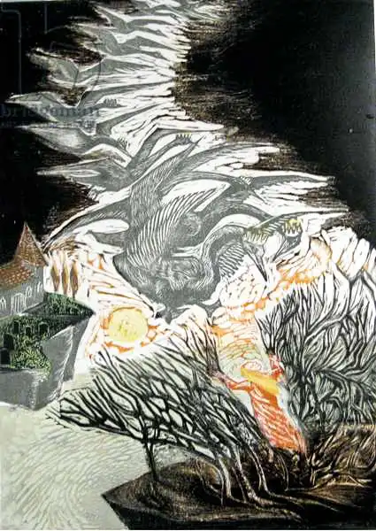 Kuper, Mar: Wild Swans