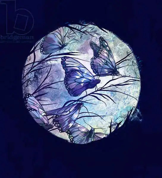Rudaya, Runa Anastasiy: Summer night