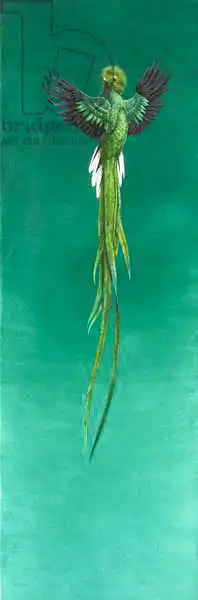 Hayward, Ti: Quetzal