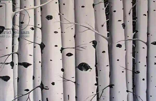 Palmer, Tin: Birch Trees