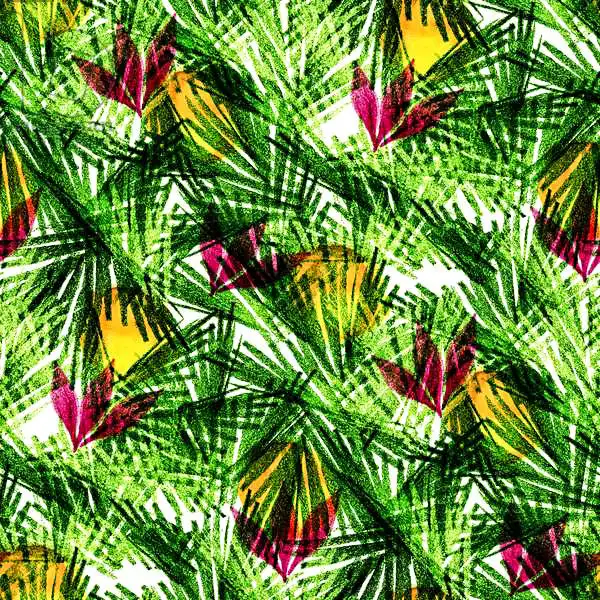 Worsley, Catherin: Tropical Grass
