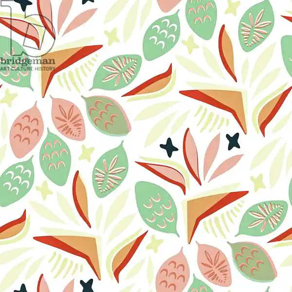 Worsley, Catherin: Bird of Paradise