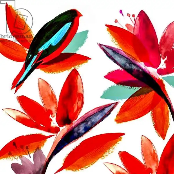 Worsley, Catherin: Tropical Bird
