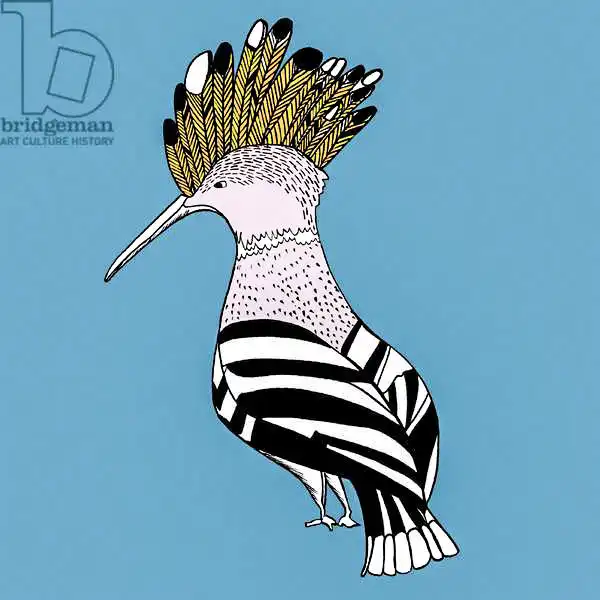 Elise, Ambe: Hank Hoopoe, pen and ink, digitally coloured