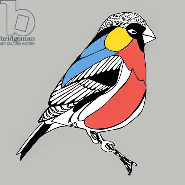 Elise, Ambe: Benny Bullfinch, pen and ink, digitally coloured