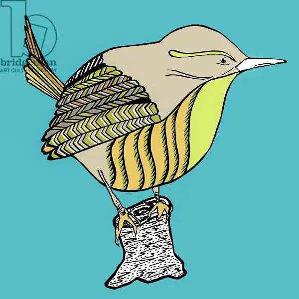 Elise, Ambe: Woody Wren, pen and ink, digitally coloured