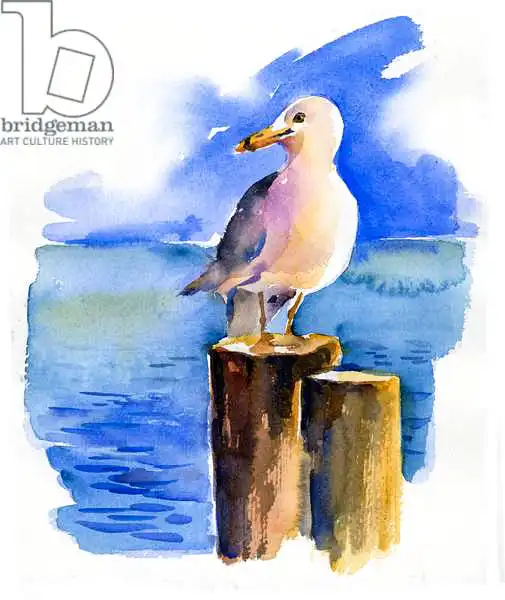 Keeling, Joh: Gaviota en el muelle
