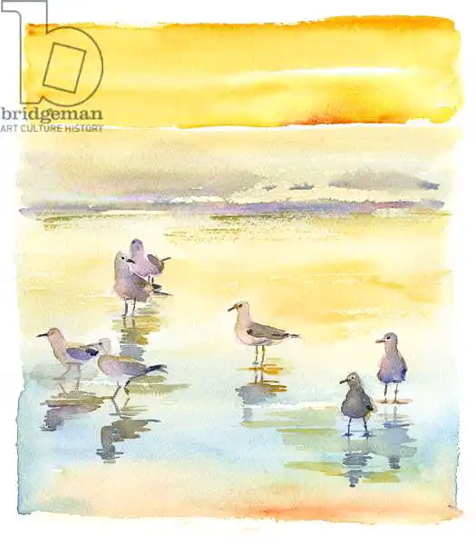 Keeling, Joh: Gaviotas en la playa