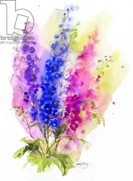 Keeling, Joh: Delphinium