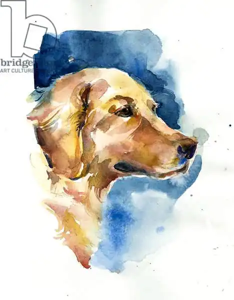 Keeling, Joh: Golden Retriever